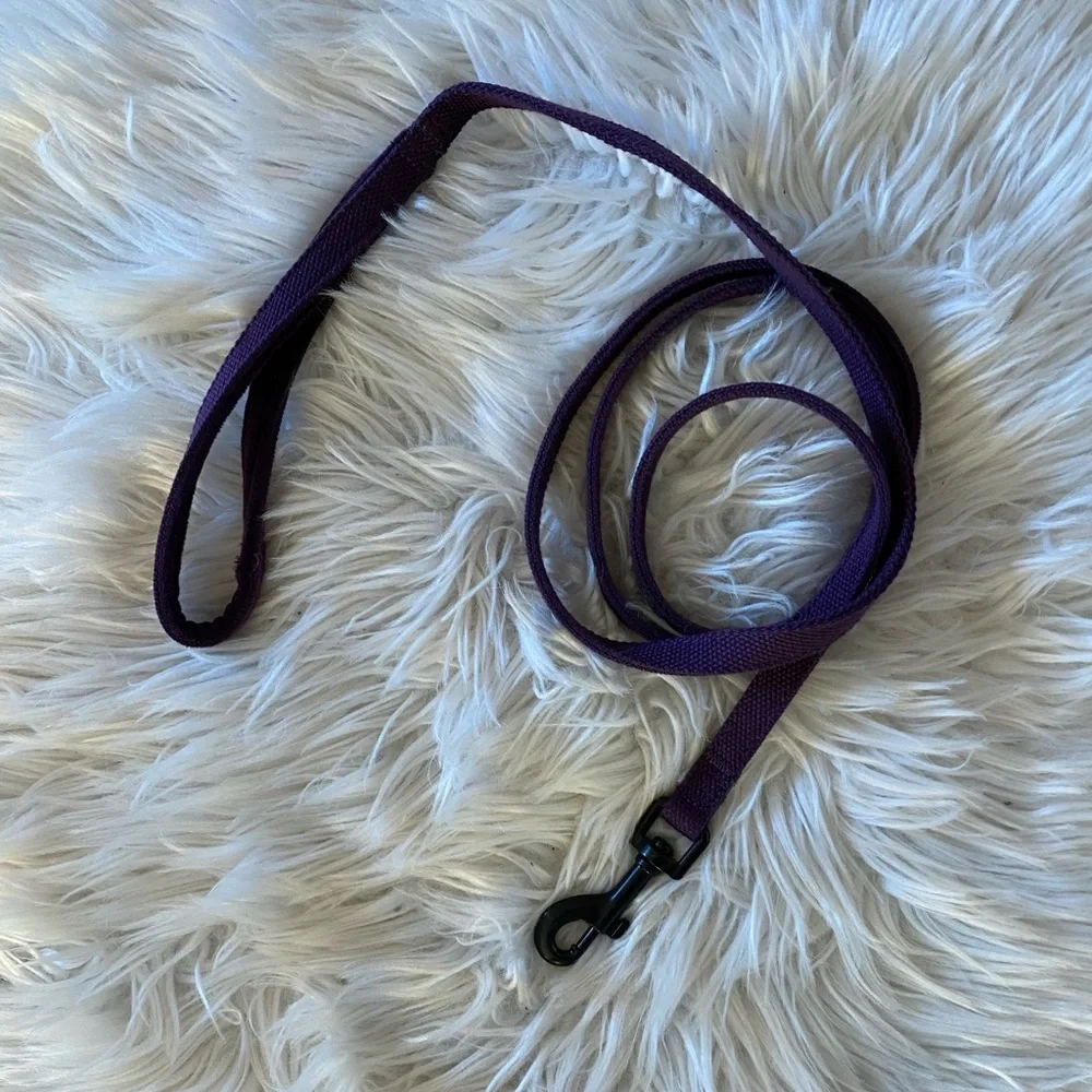 Basic purple pet leash